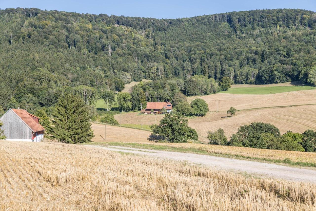 Der Lachenbuckhof بلومبيرج المظهر الخارجي الصورة